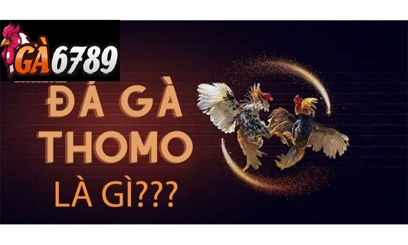 Tìm hiểu hình thức đá gà thomo gaga6789.